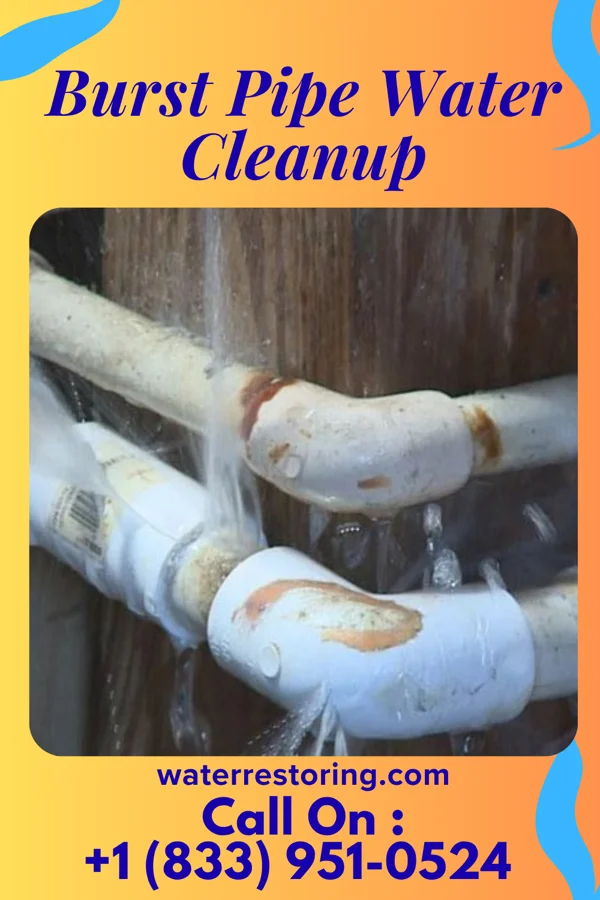 Burst Pipe Water Cleanup in Fithian, IL