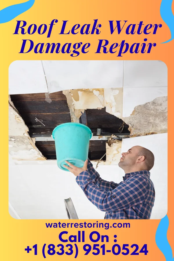 Roof Leak Water Damage Repair in Fithian, IL