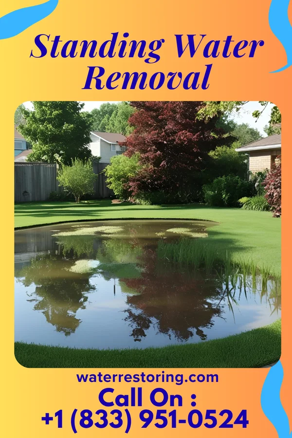 Standing Water Removal in Fithian, IL